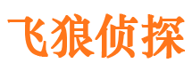 宽甸侦探公司